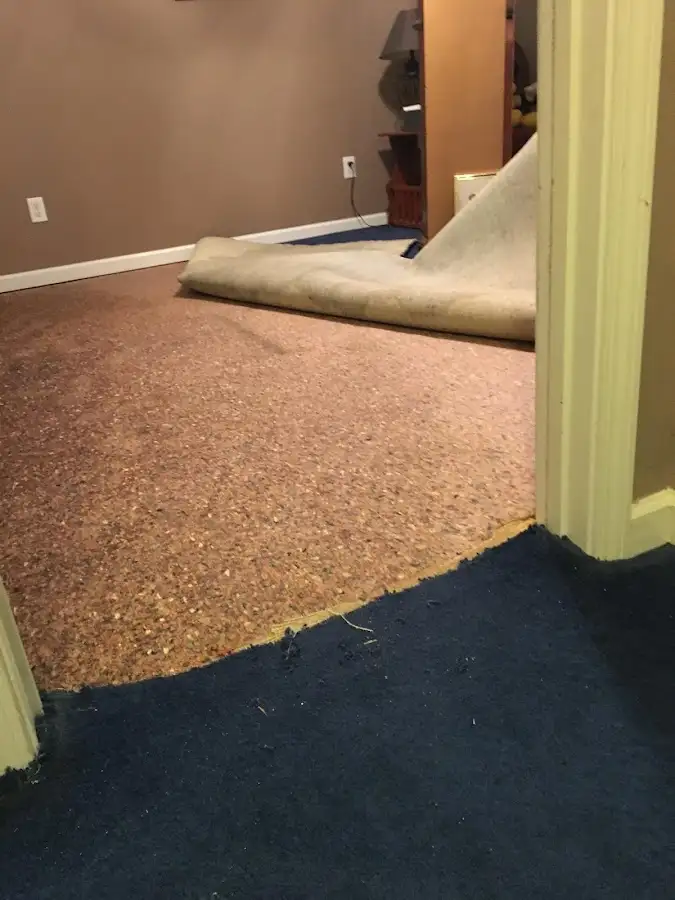 Carpet pad removal revealing water damage during Water Mitigation Services in Chesterfield